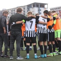 FK Partizan Employee Nikola Grubjesic's profile photo