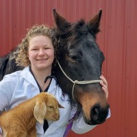 Alyssa Lehman Email & Phone Number