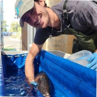 Hubbs-SeaWorld Research Institute, A non-profit scientific research organization Employee Kaelen Reed's profile photo