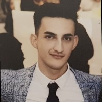 Sergiu Bradau Email
