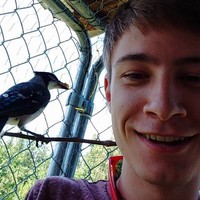 Searchspring Employee Ben Wakeford's profile photo