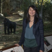 Wildlife Conservation Society Employee Susan Chin's profile photo