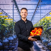 Harvest House Employee Ivo Fiers's profile photo