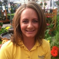 Stauffers of Kissel Hill Employee Jodie Morris's profile photo