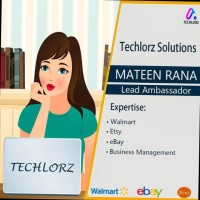 Techlorz Solutions Employee Mateen Rana's profile photo