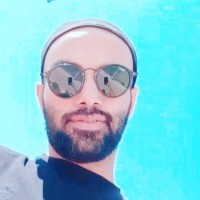 Mohammadreza Akoo Email