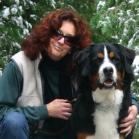Global Learning Systems Employee Diana Gerba's profile photo