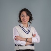 INSO Projects GmbH Employee Ayda Beiramzadeh's profile photo