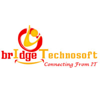 Bridge TechnoSoft Employee Abninav Kumar's profile photo