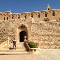 Ertan Basekin Email & Phone Number