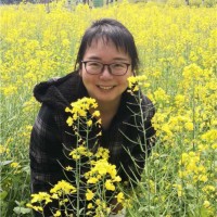 BSM Enterprise Ltd. Employee Heidi Wang's profile photo