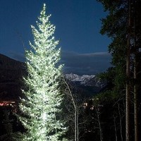 Garrett Stack Email & Phone Number