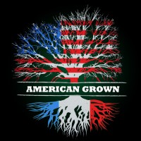 American Grown Cannabis Employee David Pardun's profile photo