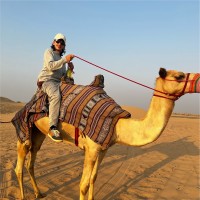 Adcomm Digital Employee Ben Leibstein's profile photo