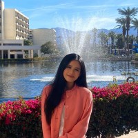Van Vo Email
