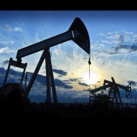 Rev Energy Services, LLC Employee Kimberly Burgardt's profile photo