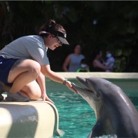 Dolphin Research Center Employee Ashley Philpott's profile photo
