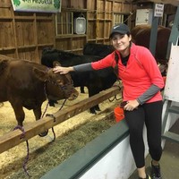 GRAYSTONE LIMITED Employee Amanda Graham's profile photo