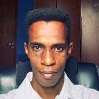 Evandro Amaral Email