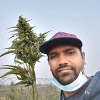 Symtomax Employee Bhavin Patel's profile photo