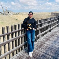 D&S Homes Real Estate Employee Hishu Singla's profile photo