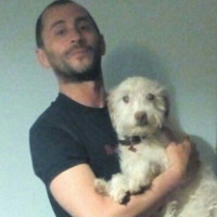 Neatec S.p.A. Employee Ippazio Galeone's profile photo