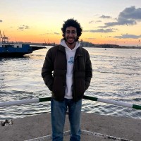 Outsourcing Skill Employee Mohamed Hisham's profile photo