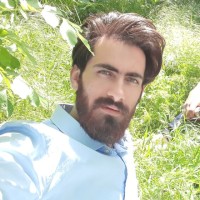 ١ Employee Vahid Gholami's profile photo