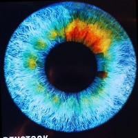 BBR Optometry Ltd Employee Georgia Wootton's profile photo