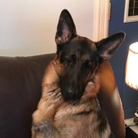 Da-Lee Group Employee Chris Thompson's profile photo