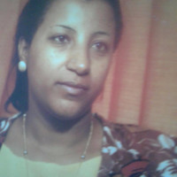 SE Solutions Inc Employee Abaynesh Mekuria's profile photo