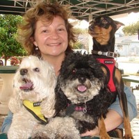 THE NEW BARKER Employee Anna Cooke's profile photo