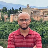 Mohamed Aly Email & Phone Number