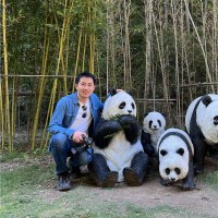 Michael Dai Email