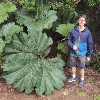 AgFirst NZ Employee Louis Batley's profile photo