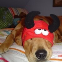 Synovia Solutions LLC Employee Bryan Simmonds's profile photo