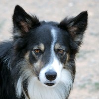PPLB Employee Sébastien Roger's profile photo