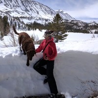 Squaw Valley Ski Holdings Employee Christine Horvath's profile photo