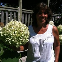 COMPUTER TRAINING Employee Diane Orazi's profile photo