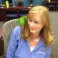 Alpine Bank Illinois Employee Debbie Patterson's profile photo