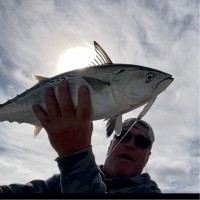 Paul Pendleton Email & Phone Number