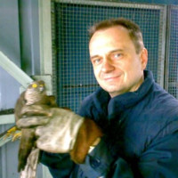 Miroslav Mitic Email