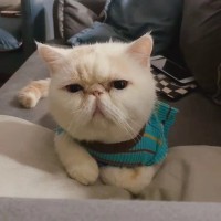 Crypto3 View Employee Ada M's profile photo