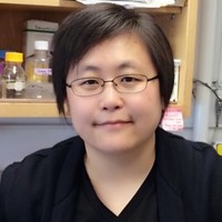 Royal Society of Biology Employee Yiliang Ding's profile photo