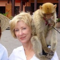 Ortho-McNeil Pharmaceutical Employee Terry Landa's profile photo