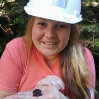 WSP in Canada Employee Stacey Andrews's profile photo