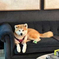 Nordstrom Trunk Club Employee Davide Gao's profile photo