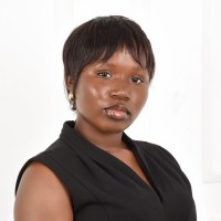 Sunseekers Tours Employee Shepherd Adiko's profile photo