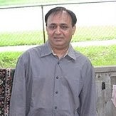 Nalin Bhatt Email