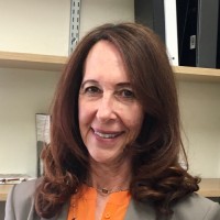 Pace Women's Justice Center Employee Laurie Epstein's profile photo